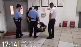 滕州最新物业爆料,揭秘小区管理背后的真相